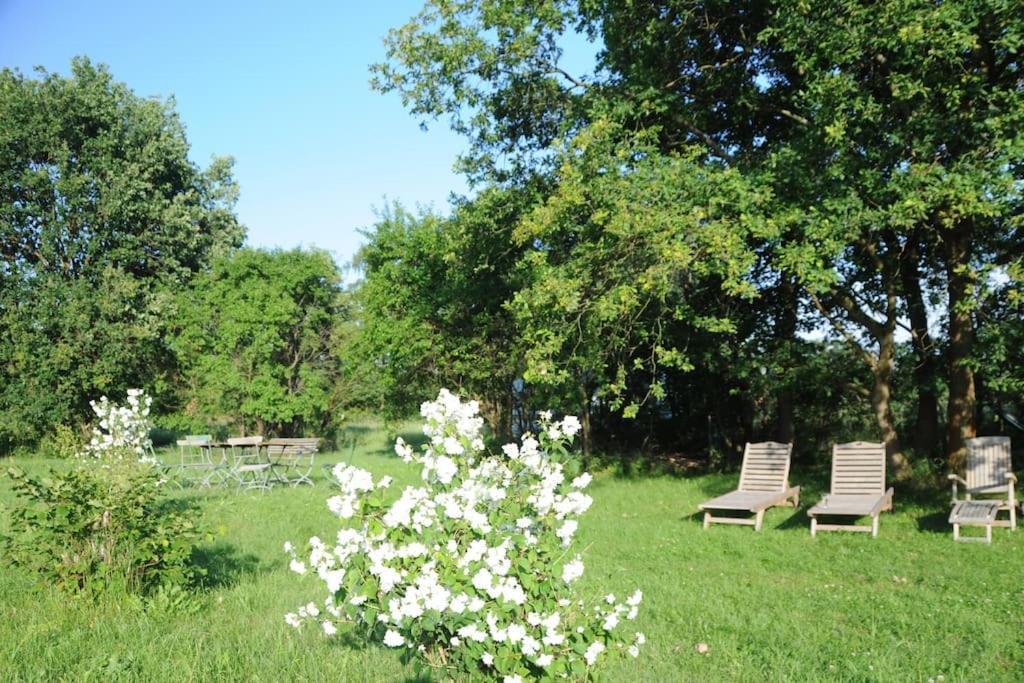 Romantisches Studio Am Waldesrand Mit Gartensauna Schwarz Luaran gambar
